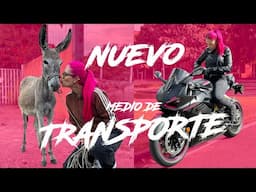 Mi nuevo medio de transporte 💰