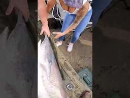 BIGGEST FISH EVER!!🎣🐳