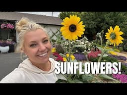 🌻 Planting ALL the Sunflowers for Summer! 🌻