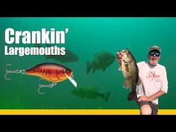 Cranking Largemouth Bass With Al Lindner