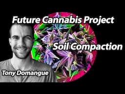 Soil Compaction