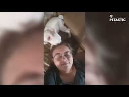 Pets Being Funny in All the Wrong Ways 😂 | Epic Fails Inside!