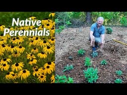 10 New Native Perennials for Pollinators
