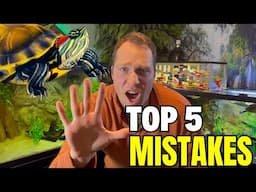 Top 5 Turtle Keeping Mistakes and How to Avoid These Common Pitfalls