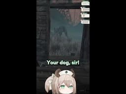 Nimi Encounters a Very Rude Dog in Caelid [Nimi Nightmare]