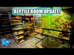 REPTILE ROOM UPDATE: Snakes and Lizards Available Now!