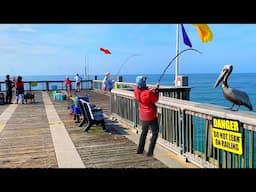 Catching Dinner at a Florida Pier! *Catch, Clean, & Cook*