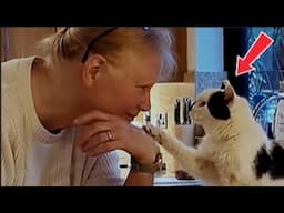 This Elderly Cat Forgets Everything — But Never Forgets Her Mom’s Love
