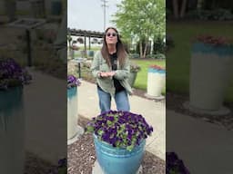 Plant Of The Day: Supertunia® Royal Velvet® 30% Off (June 16, 2025)