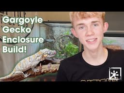 Building a Bioactive Gargoyle Gecko Enclosure