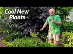 Really Cool and Rare Plants Added to the Garden!