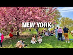 New York City LIVE Manhattan on Friday Afternoon (April 25, 2025)