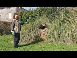 EP255 - A couple of hefty problems here at our French Château