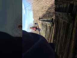 #DELPHI “43-SECOND VIDEO”