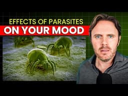 How Parasites Can Effect Your Mood and How to Fix it