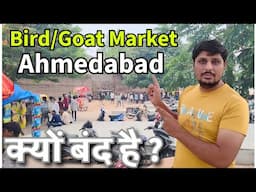 Sunday Bird Market Ahmedabad | Bakra और Kabutar Mandi Riverfront | सब बंद हैं, क्यों?