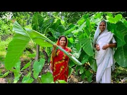 গলা ধরা কচু পাতা রান্নার পদ্ধতি | বুনো কচু শাক রান্না | Kochu Pata Recipe | villfood