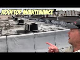 Spring HVAC Maintenance on Rooftop Units | Commercial Building Tune-Up with Mikey Pipes