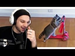 Reacting To Memes That Made Me ACOUSTIC