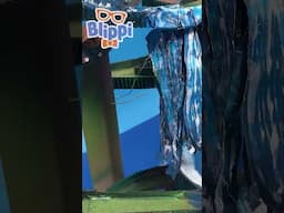 Corrida de bolinha de gude 🟢 #shorts #juca #blippi