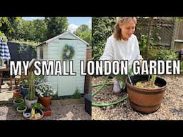 A WEEK IN MY SMALL LONDON GARDEN / MAKING JAM AND POTTERING IN THE GARDEN