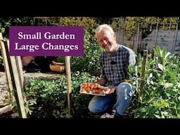Small No Dig Garden – Big May Harvests After 5 Weeks of Spring Growth