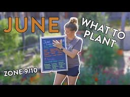 Must-Plant Crops for Your June Garden in Zones 9 & 10