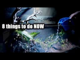 8 Spring Aquarium Checklist Items to do NOW!