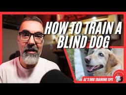 How to Train a Blind Dog! 4 Tips you Need to Know | Al’s Dog Training Tips
