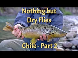 Nothing but Dries Part 2