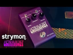 Strymon Ultraviolet