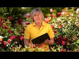 Spring Cleaning Testimonials to Inspire Your New Life