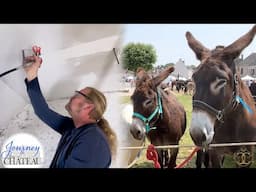 Chateau Painting Problems and a French Donkey Day!