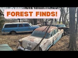 Classic Cars Lost in the Woods (and Found again!) 1955-57 Chevy Bel Airs & Abandoned 1967-72 Trucks!