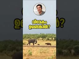 തർക്കിക്കാത്തത് എന്തുകൊണ്ട്? Why Smart People NEVER Argue & What Fools Do Instead! Inspirational