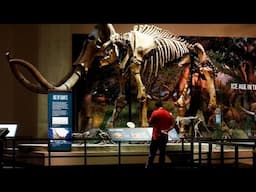12 of the World’s Best Dinosaur Museums You Need to Visit Before You Die