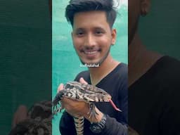 Chalo सेंसेशन clear की जाए #shorts #ytshorts