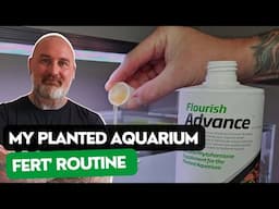 My AQUARIUM PLANT FERTILIZATION Routine | How, What, and Why.