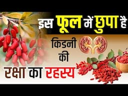 इस फूल में छुपा है किडनी की रक्षा का रहस्य | Ayurvedic herb for Kidney Health | Kidney Treatment