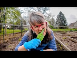 What would You Do? | Edible, Medicinal and Invasive