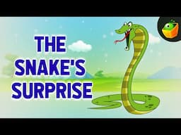 Snake Stories