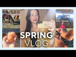 A Day In The Life - SPRING Farm Vlog
