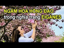 KHÔNG THỂ TƯỢNG TƯỞNG TRONG NGHĨA TRANG LẠI ĐẸP ĐẾN THẾ