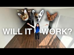 Tiny Empty Apartment Tour in Toronto – 570 sqft for 2 ppl, 2 cats, 1 dog