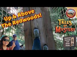 Go Up Into The Redwood Trees at California's Trees of Mystery | Prairie Creek Redwoods State Park