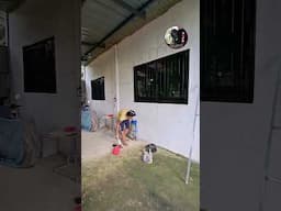 window grills project #windowgrills #shortvideo #windowprotection #GongTV