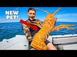 I Found GIANT Lobsters and Kept them as Pets...