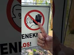 Koszos tenyerű, vak embereknek hetyke sapkában BELÉPNI TILOS🥶