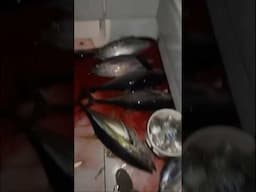 Team FLORIDA MAN with a Contender filled with Tunas 👀