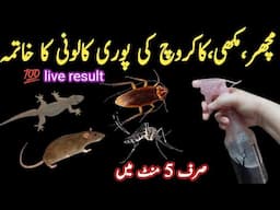 Machhar ki puri colony ka khatma ek hi bar mein|how to get rid of insects,best ever insects killer